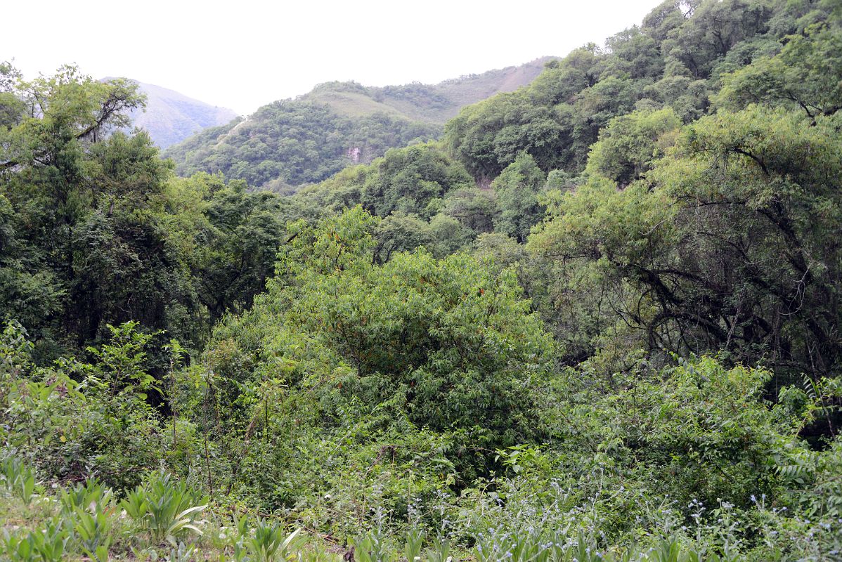 04 You Can Also Drive On The More Scenic Highway 9 Between Salta And San Salvador de Jujuy On The Way To Purmamarca